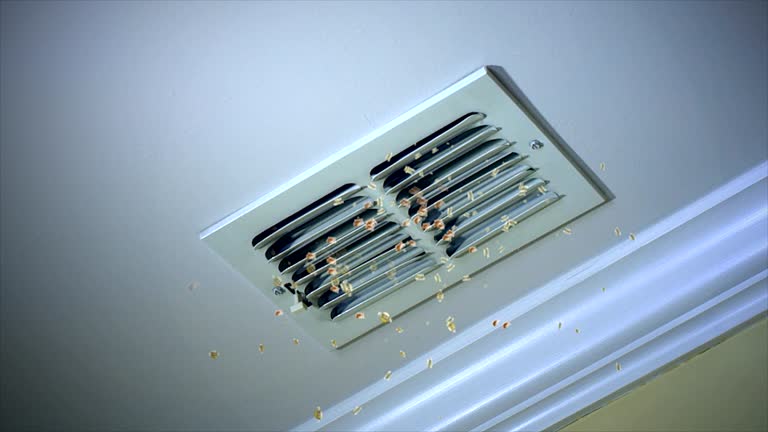 Best Air Duct Cleaning Near Me  in Bogalusa, LA