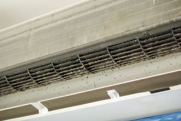 Best Emergency Air Duct Cleaning  in Bogalusa, LA